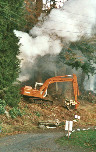 Digging, burning, logging and recovery in November 1999. Click on the picture to return to your place in the text