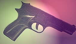 The gun
