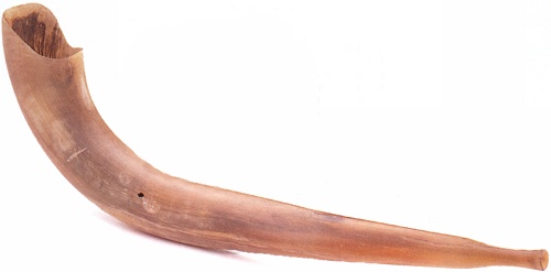 shofar - image from Manchester Jewish Museum